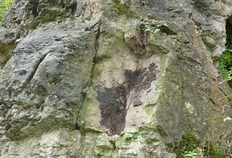 Steinschlag